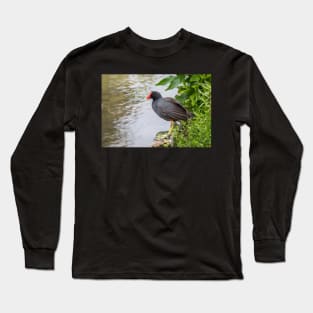 Common Gallinule at Edge of Water Long Sleeve T-Shirt